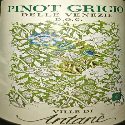 2023 Pinot Grigio, Ville di Antanè, Veneto, Italien.